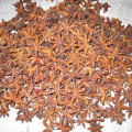 2016 new harvest 99% purity natural autumn or spring star anise